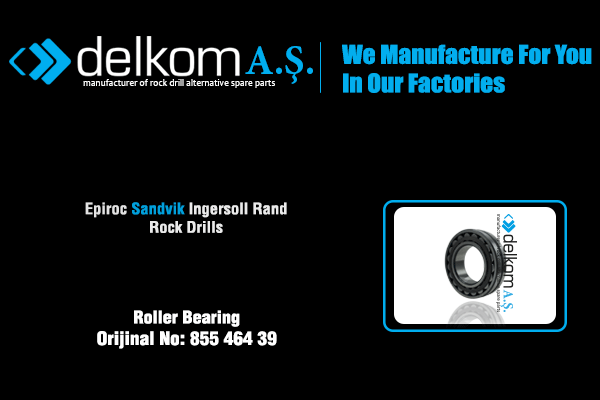 Roller Bearing