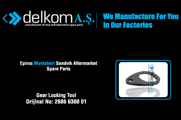 Gear Locking Tool